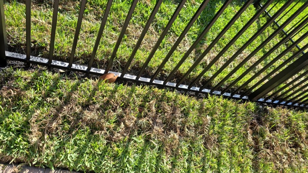 Powder-coated perimeter fencing